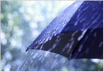 Umbrella Insurance in Spring TX